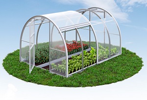 Парники — Тюльпан Премиум Антишторм — фото