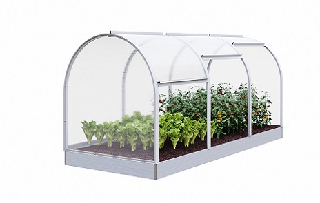 Парники — Парник Тюльпан-Мини — фото